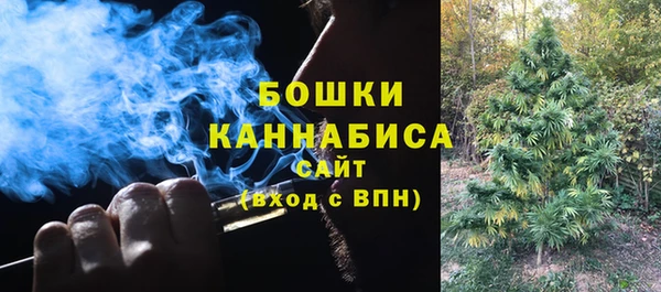 индика Осинники