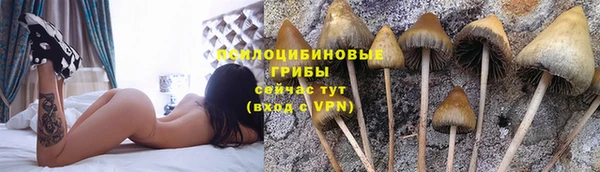spice Алексин