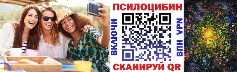 Галлюциногенные грибы мицелий  Сосновый Бор 