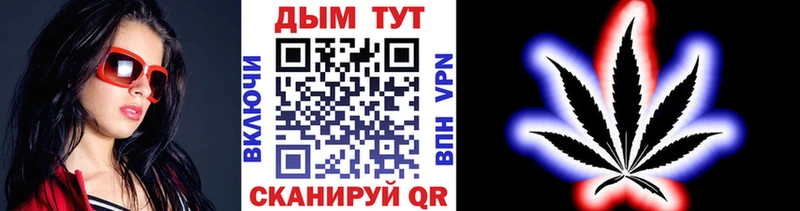 купить   Сосновый Бор  Конопля планчик 